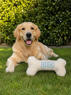 Ein Labrador mit einem personalisierten Hundeknochen mit dem Namen Hugo.