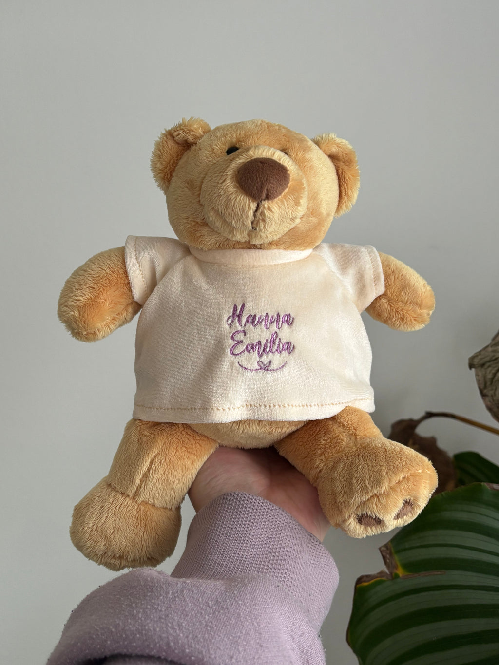 Ein kleiner kuscheliger Teddybär, der ein T-Shirt trägt. Das Shirt ist individuell mit dem Kindernamen Hanna Emilia bestickt worden.